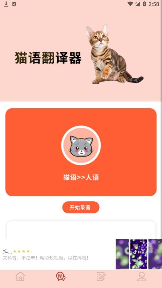 摸摸小猫无广告版app下载-摸摸小猫官网版app下载