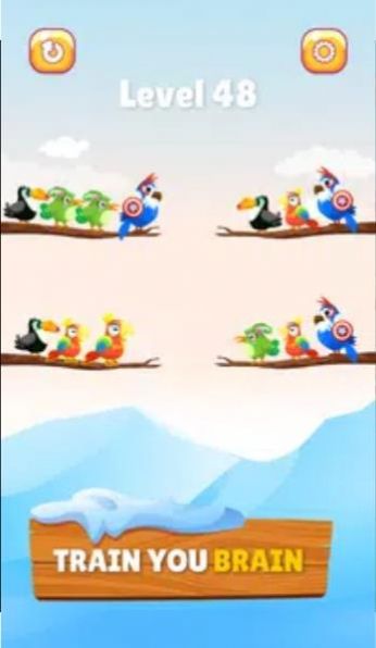 小鸟分类大师最新版手游下载-小鸟分类大师免费中文下载