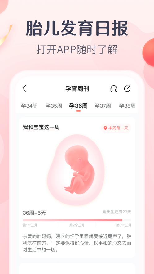 宝宝树孕育官网版app下载-宝宝树孕育免费版下载安装