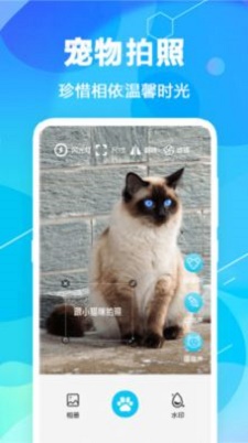 猫语翻译pet软件安卓免费版下载-猫语翻译pet安卓高级版下载