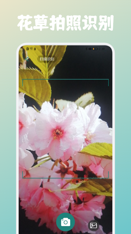 花草植物识别永久免费版下载-花草植物识别下载app安装